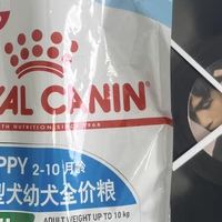 皇家狗粮小型犬幼犬粮奶糕粮泰迪比熊专用皇家奶糕 幼犬狗粮