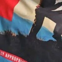 Orijen渴望狗粮幼犬成犬全价犬粮 原味鸡肉