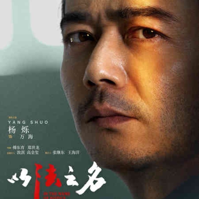 《以法之名》剧情深度解析与社会影响探讨