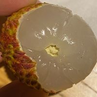 终于吃到了没进过冷库的荔枝！