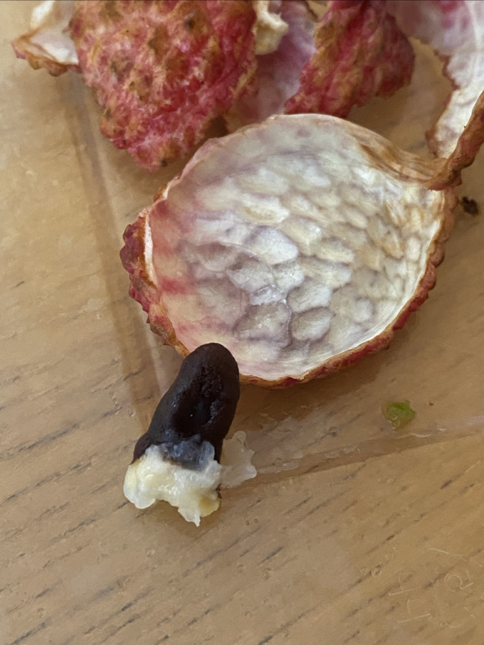莹多爱其他水果