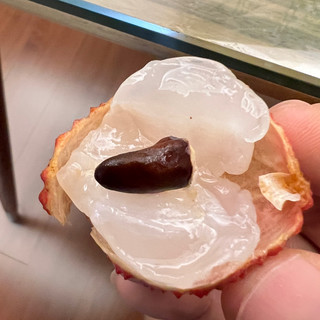 吃来吃去，还得是桂味啊！