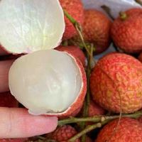 15种常见荔枝品种特点及口感，肉厚核小，鲜嫩多汁，你吃过几种？