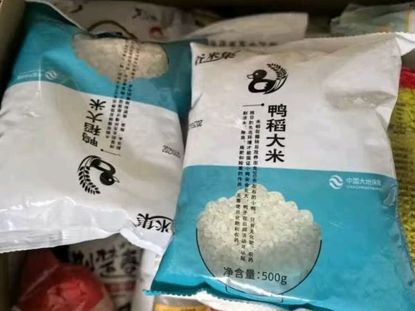 大米