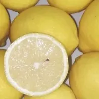 挖到宝了！安岳柠檬太懂吃货了！