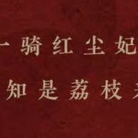 《长安的荔枝》