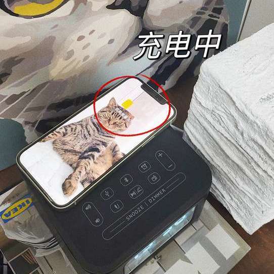 好用不贵的智能小家电清单！3位数就能搞定这些“幸福感神器”！