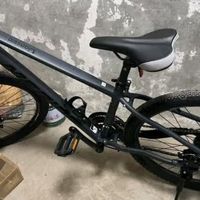 雄狮610山地车21速体验如何？