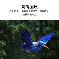 家庭娱乐新中枢!华为智慧屏V 75 SE3实力出圈!
