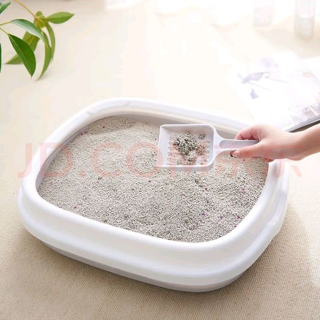 幼猫如厕神器：开放式猫砂盆