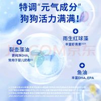 蓝氏狗粮：泰迪犬的美味选择