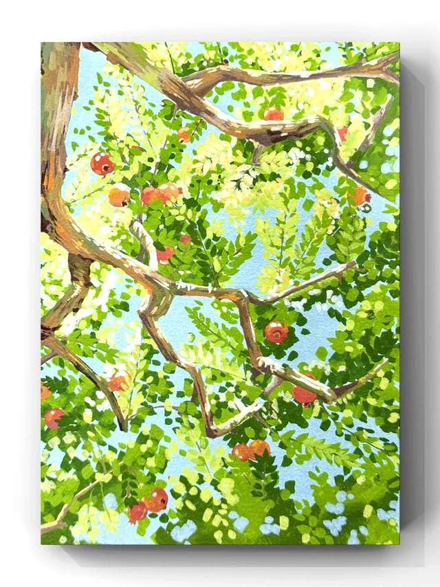 丙烯马克笔｜一棵石榴树