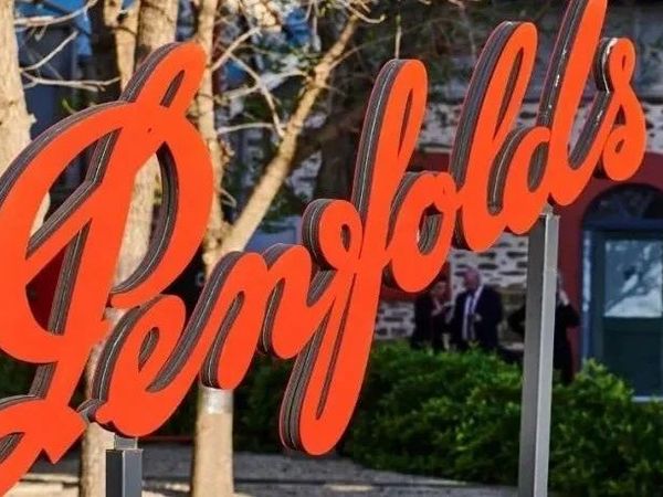 一篇文章带你了解奔富2024珍藏系列