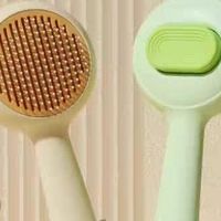 宠物用品实测：实用到颜值的都蛮不错的