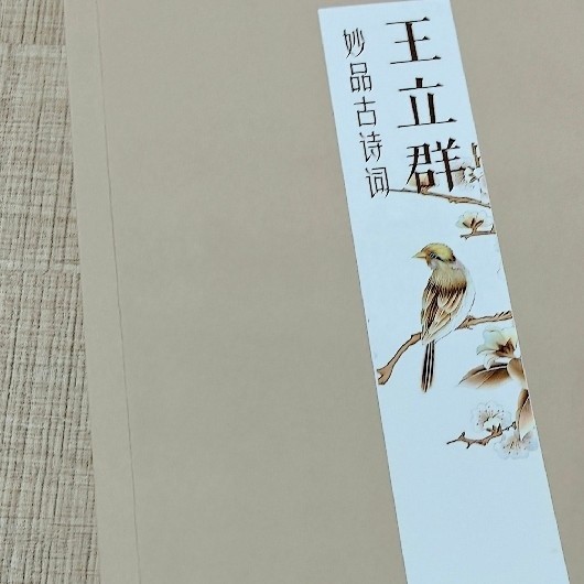 于经典中邂逅诗意：王立群带你妙品古诗词