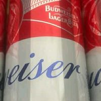 百威啤酒TOP淡色拉格整箱装