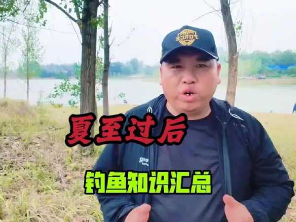夏至对钓鱼有什么影响？我们该如何改变才能提高鱼获？钓鱼硬知识 #钓鱼 #垂钓 #钓鱼知识 #钓鱼技巧 #今晚吃鱼