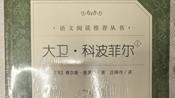 《大卫·科波菲尔》：成长与社会的史诗