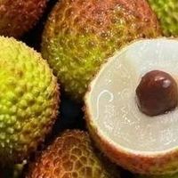 岭南与巴蜀荔枝特点及运输挑战
