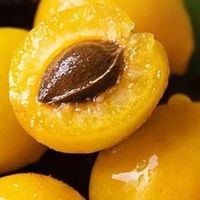 轮台小白杏：沙漠绿洲的甜蜜果实