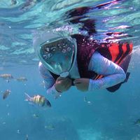 618运动好物——迪卡侬儿童浮潜全面镜