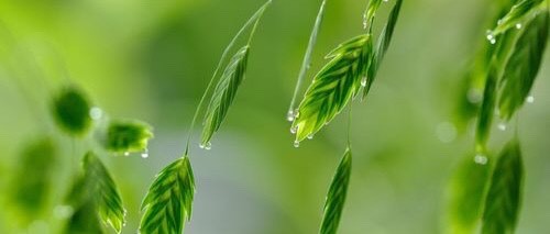 机械硬盘还能撑多久？固态盘来袭