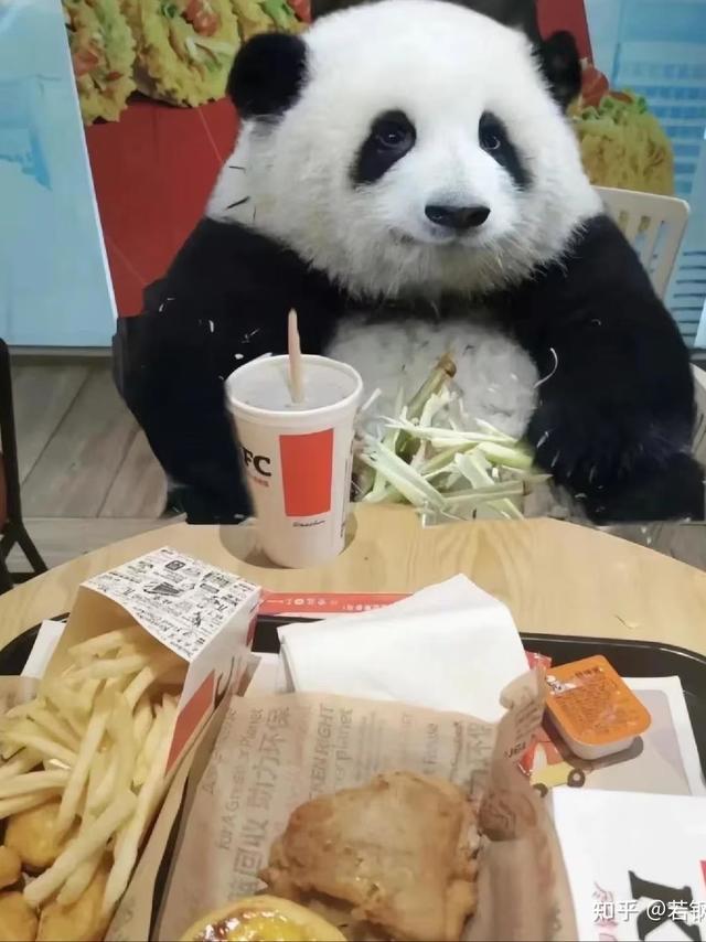 都是刘和平编剧，为什么《雍正王朝》当年收视爆火而《大明王朝1566》却遇冷直到十年后才小范围火起来？