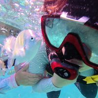 浮潜好装备——Tusa M212潜水镜