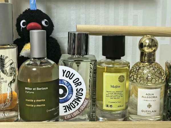 草本薄荷香六只香水推荐：喷上它们，连风都是凉爽的