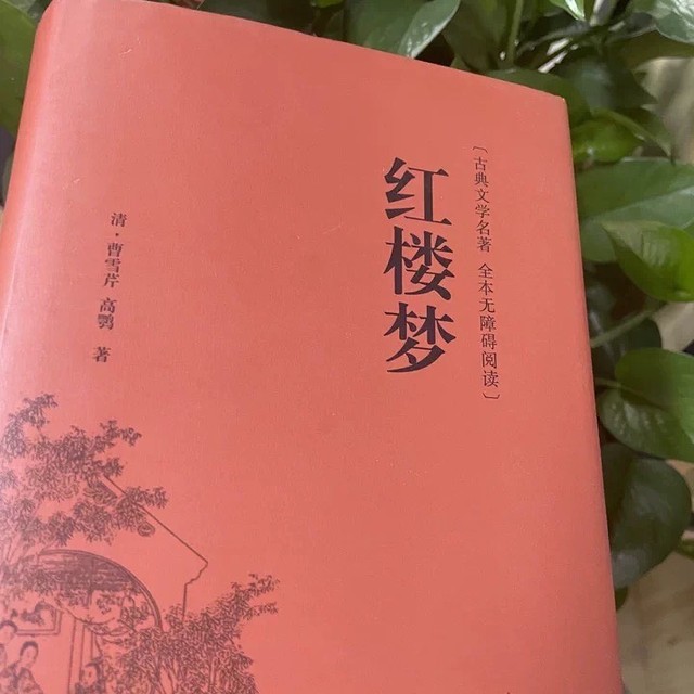 《红楼梦》兼具艺术美感与思想深度