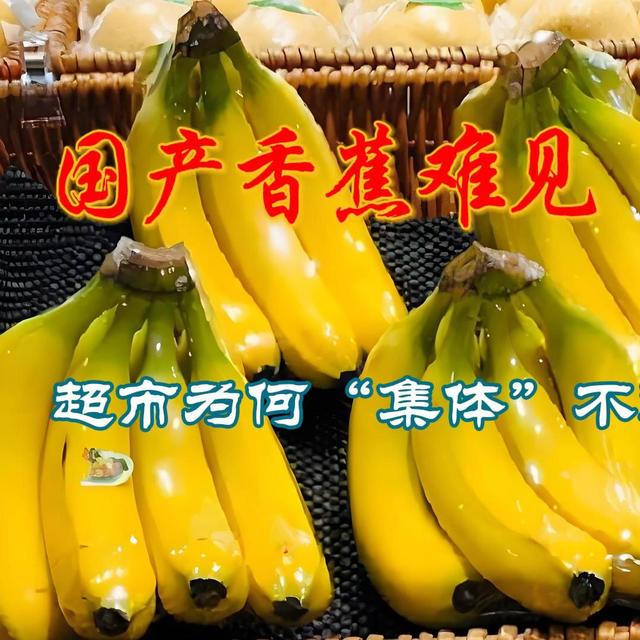 国产香蕉难见踪影，超市为何“集体”不进货？