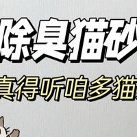 618给毛孩子囤猫砂，如何选对呢？