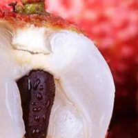 京地达广东老树桂味荔枝净重5斤装单果18g+新鲜当季水果源头直发