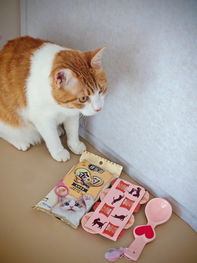 佳乐滋猫咪肉质零食