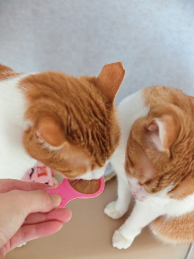 佳乐滋猫咪肉质零食