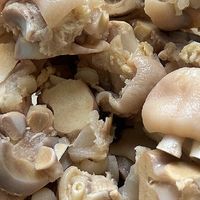 4斤猪蹄直接实现啃蹄自由！