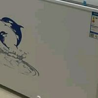澳柯玛307升大容量冰柜