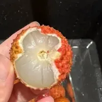 荔枝价格雪崩，我实现桂味自由啦！
