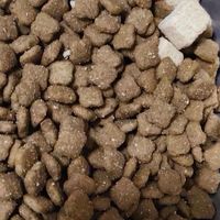 猫粮：猫咪健康成长的能量之源