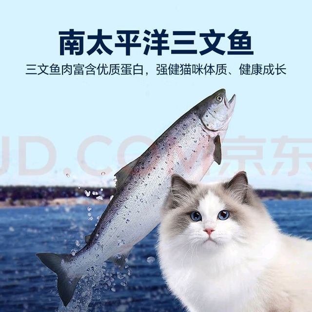 比瑞吉藻鱼儿猫粮体验报告