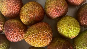 京鲜生广东桂味荔枝测评：夏日里的清甜滋味