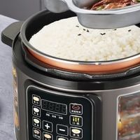 电压力锅怎么选？十大佳品测评推荐，附上选购选购榜单分享