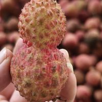 荔枝季的甜蜜邂逅