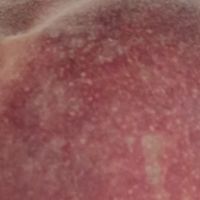 陇百味山西水蜜桃：邂逅季节的鲜甜与营养