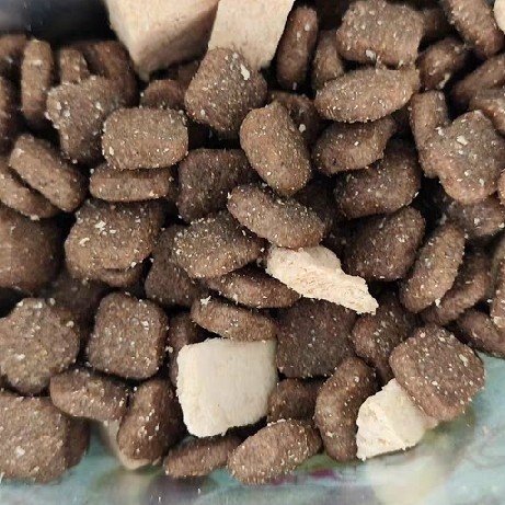 营养又美味的猫粮，让猫咪大快朵颐