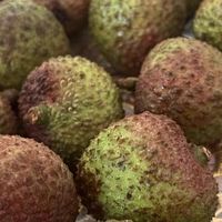 荔枝这么多品种，你真的吃的明白吗？