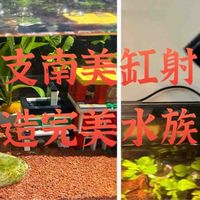听说每个养鱼佬有这个灯🌀