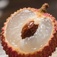 果农自救与革新：破解荔枝价格困局