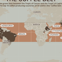 再聊咖啡豆带：全球咖啡产区的黄金地带，为什么咖啡只能在这里？