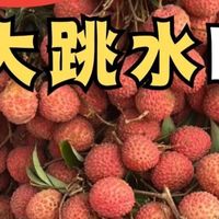 荔枝价格大跳水，购物车加满了吗？